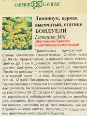 Семена лимониума "Бондуели"