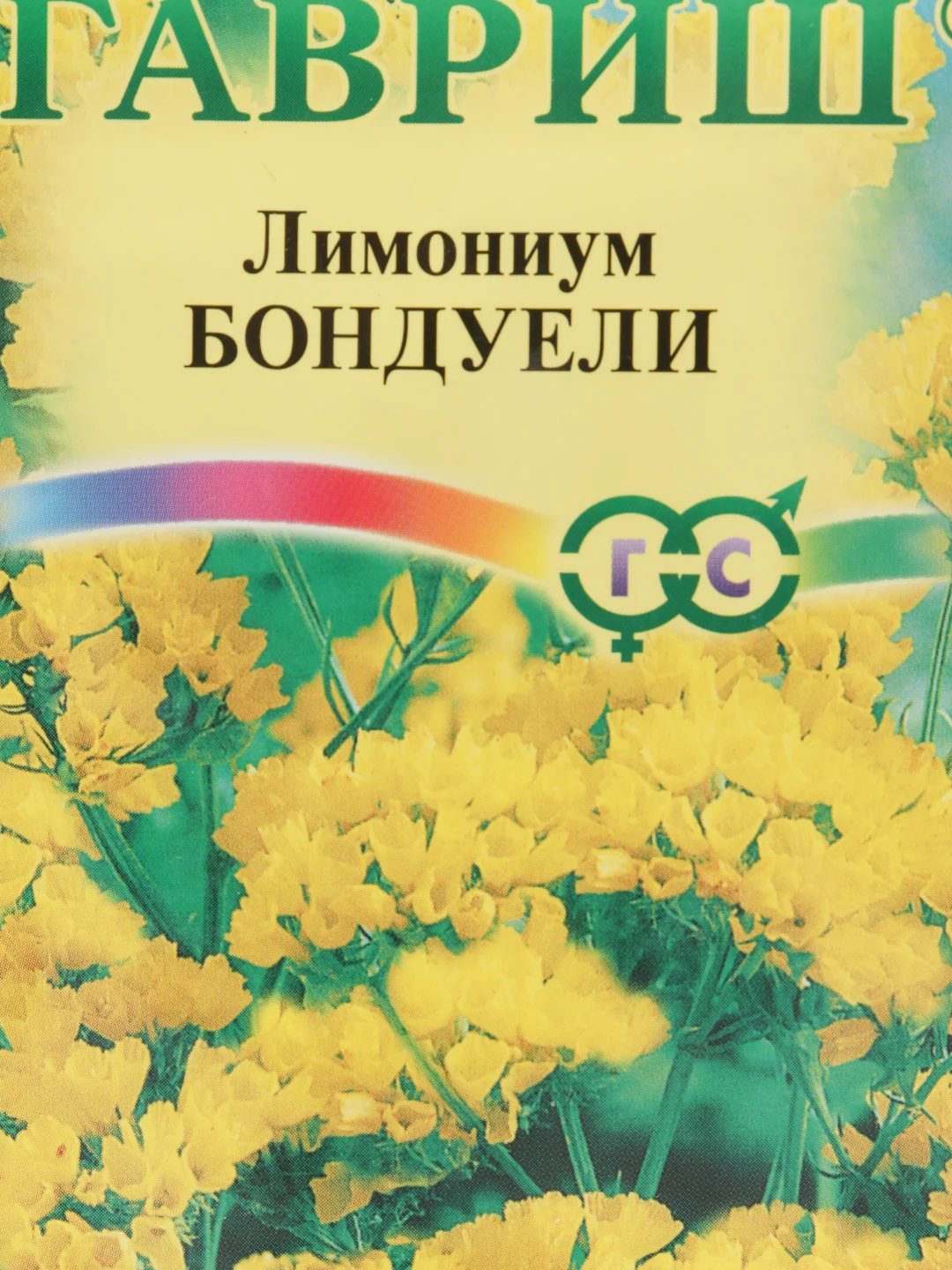 Семена лимониума "Бондуели"