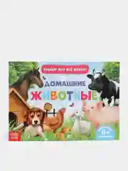 Оранжевый книжка для детей "Узнаём про всё вокруг"