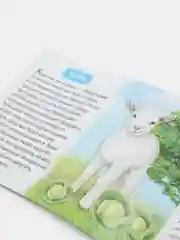 Оранжевый книжка для детей "Узнаём про всё вокруг"
