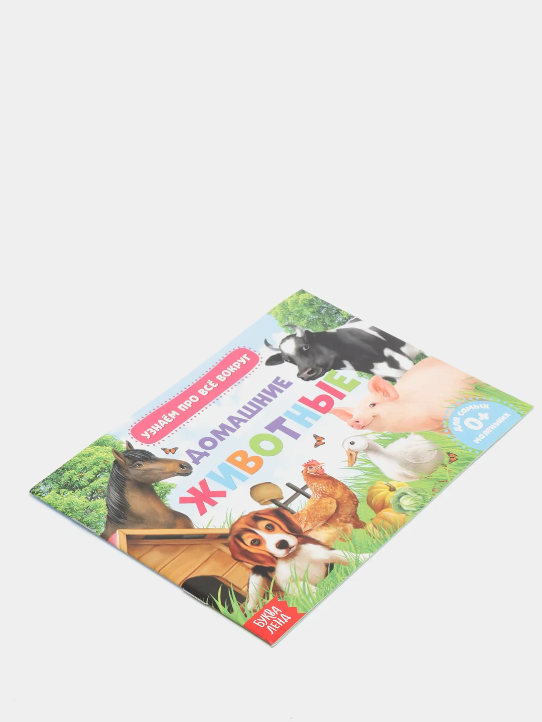 Оранжевый книжка для детей "Узнаём про всё вокруг"