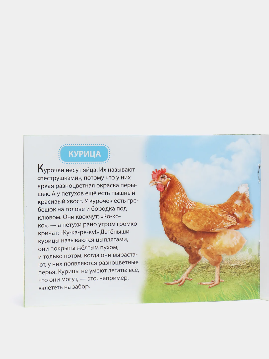 Оранжевый книжка для детей "Узнаём про всё вокруг"