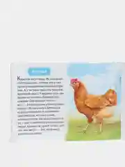 Оранжевый книжка для детей "Узнаём про всё вокруг"