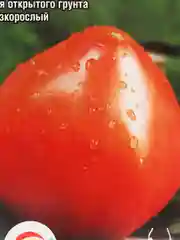 Семена "Томат Вельможа"