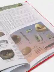 Энциклопедия "Хочу всё знать: Доисторический мир", Проф-Пресс