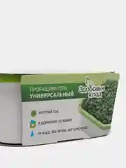 Бытовой проращиватель Здоровья КЛАД универсальный