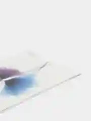 Вишнёвый татуировки переводные, временные