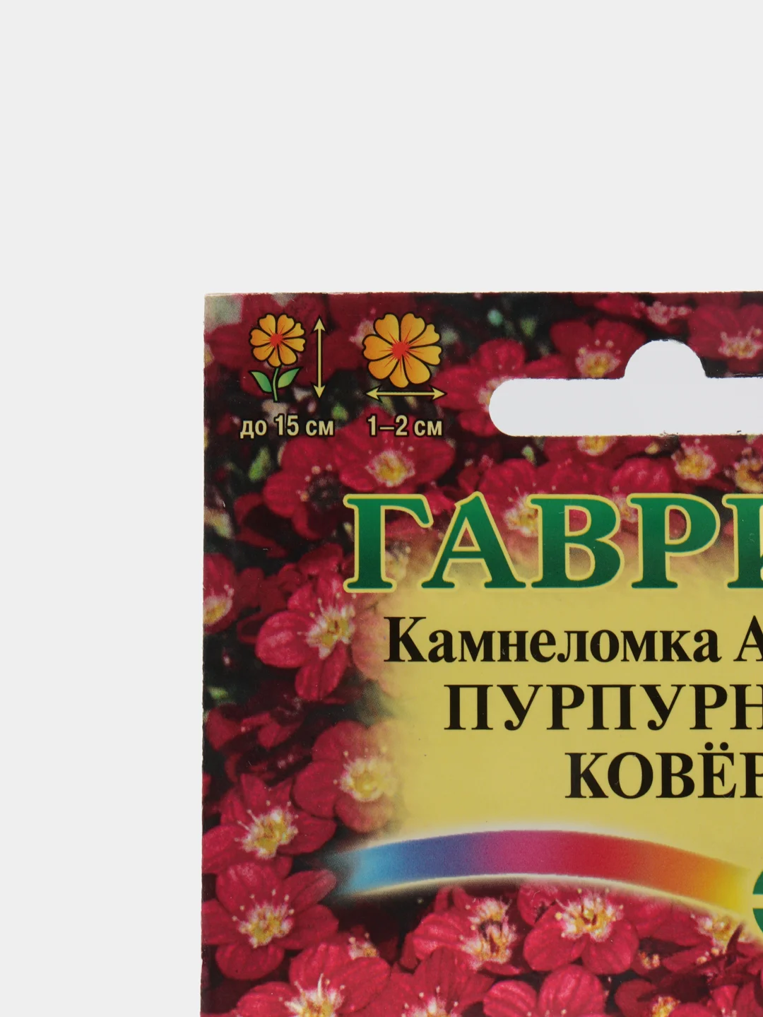 Камнеломка Пурпурный ковер (семена,цветы)