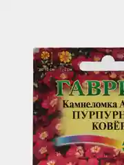 Камнеломка Пурпурный ковер (семена,цветы)