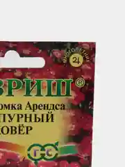 Камнеломка Пурпурный ковер (семена,цветы)