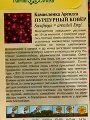 Камнеломка Пурпурный ковер (семена,цветы)