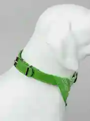 Зеленый ошейник бандана для собак и кошек