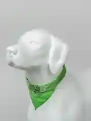 Зеленый ошейник бандана для собак и кошек