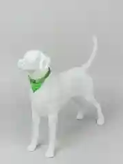 Зеленый ошейник бандана для собак и кошек