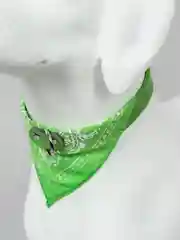 Зеленый ошейник бандана для собак и кошек