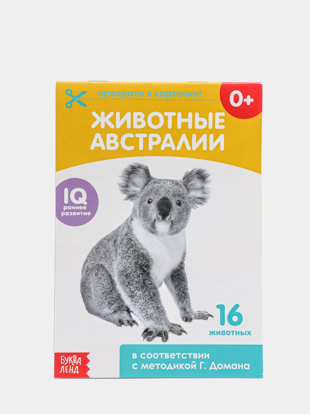 Развивающие карточки по методике Г. Домана