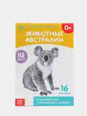 Развивающие карточки по методике Г. Домана