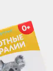 Развивающие карточки по методике Г. Домана