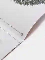 Развивающие карточки по методике Г. Домана