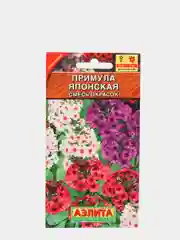 Примула "Японская" (семена, цветы)