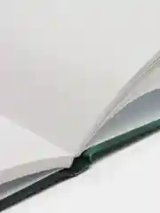 Блокнот в точку Tochkabook Medium "Девушка-земля"