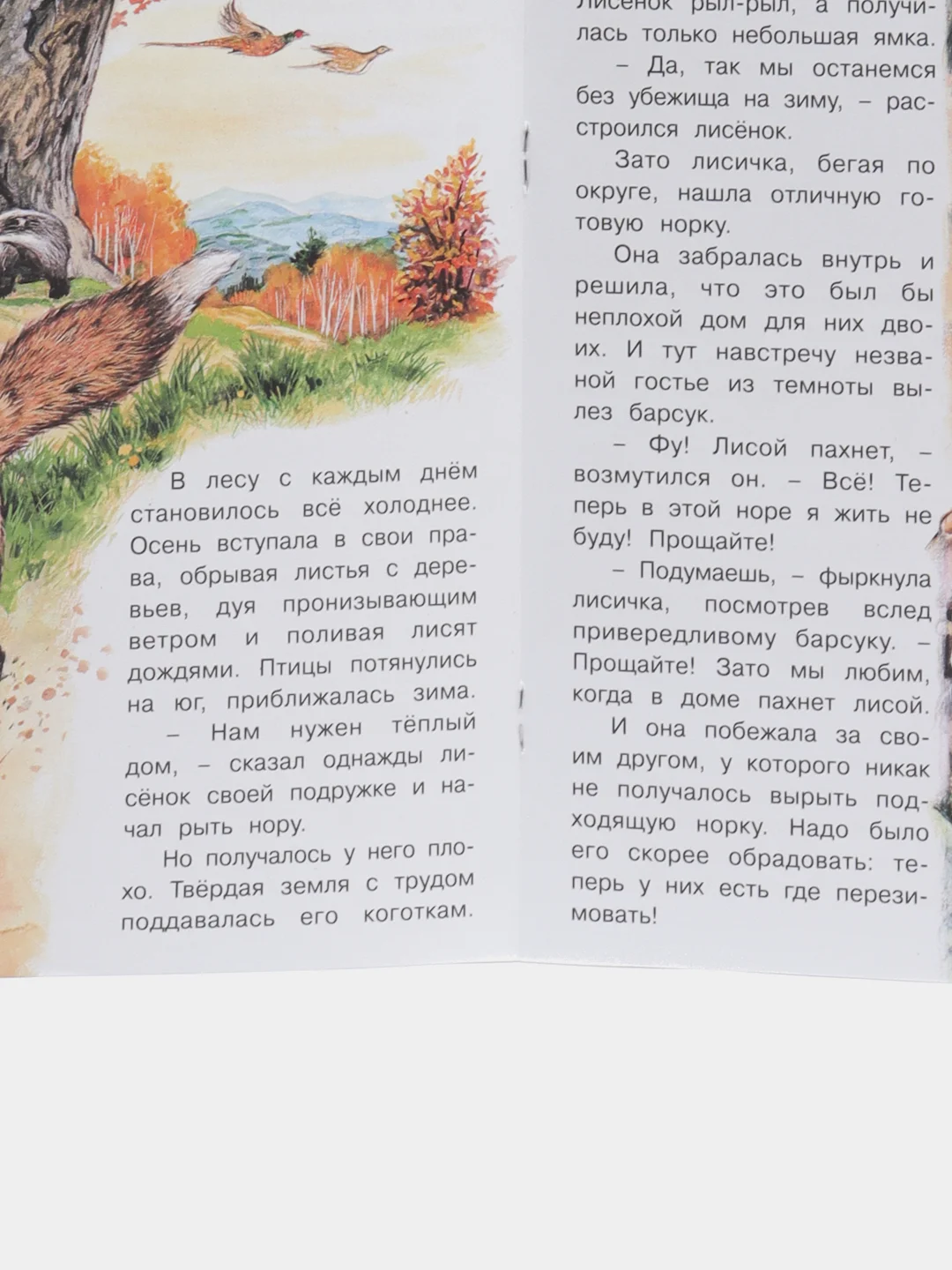Коричневый книга детская Приключения зверей, 12 видов