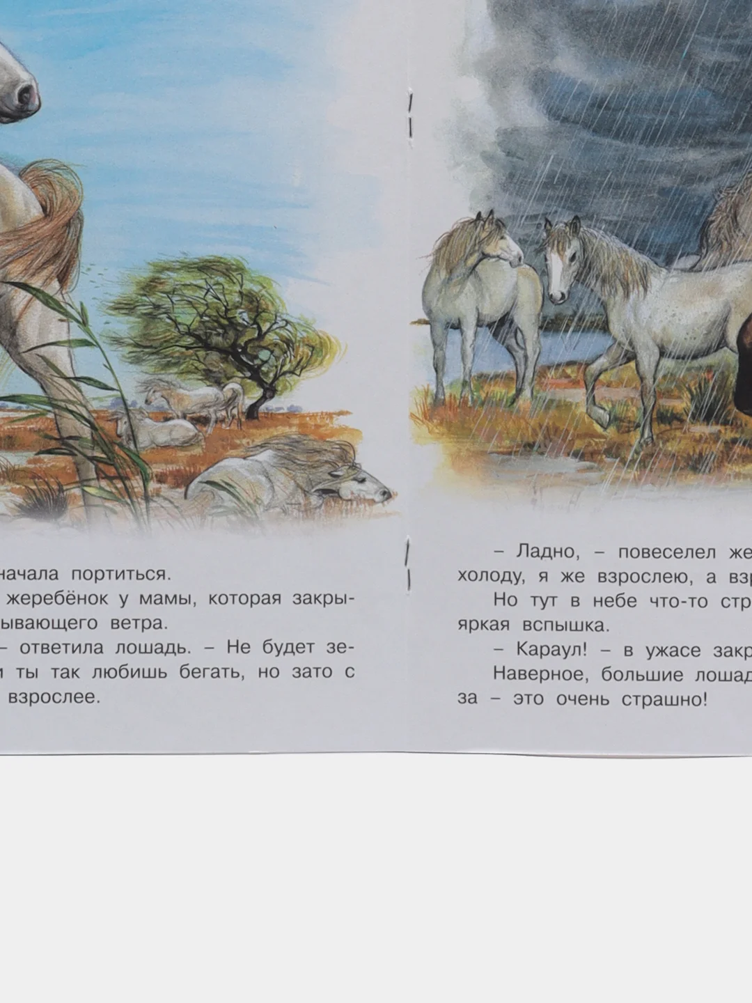 Бежевый книга детская Приключения зверей, 12 видов
