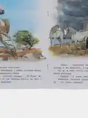 Бежевый книга детская Приключения зверей, 12 видов