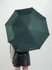 Тёмно-зелёный зонт классический, автоматический
