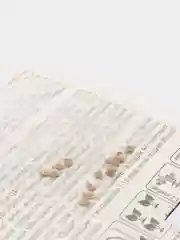 Томат Черный кот (семена)