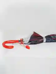 Зонтик деткий