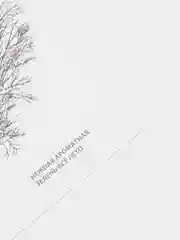 Семена укроп "Обильнолистный", 2 г