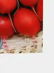 Редис "Ультраскороспелый", семена