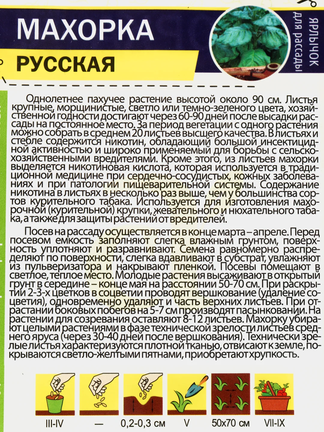 Семена: "Махорка Русская"