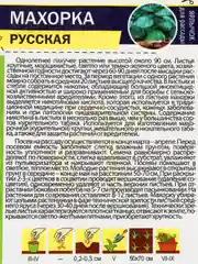 Семена: "Махорка Русская"