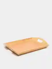 Поднос "Termico", 48.5*34.3*7 см