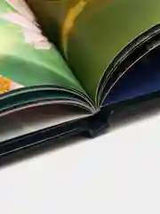 Энциклопедия подарочная про животных в картинках "Зачем светлячку фонарик?". Проф-Пресс