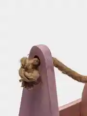 Фиолетовый деревянный ящик
