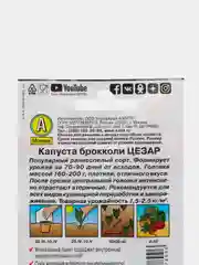 Семена Капуста брокколи "Цезар" набор 1, 3, 5 уп