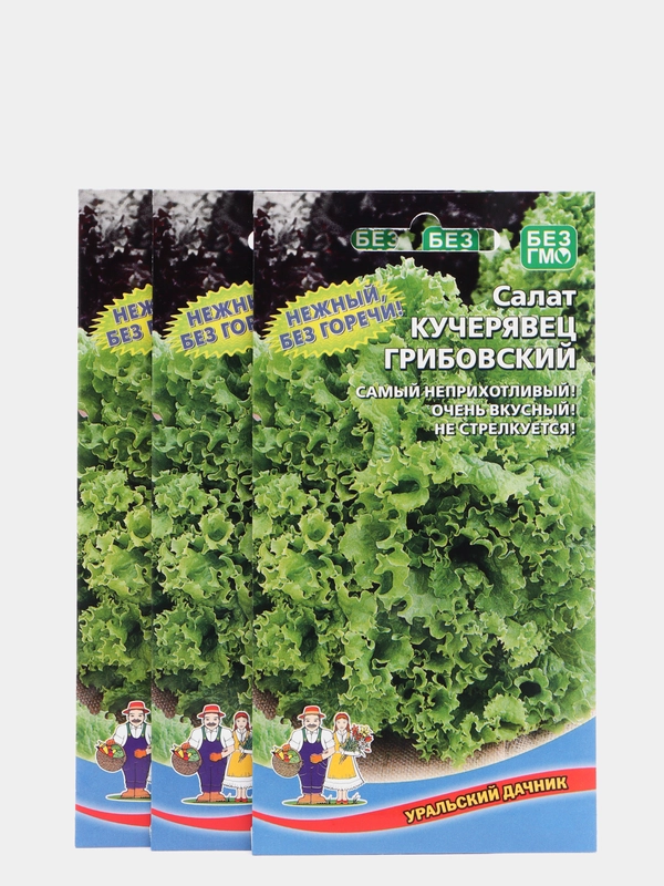 Семена Салат "Кучерявец Грибовский" набор 1, 3, 5 уп