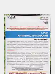 Семена Салат "Кучерявец Грибовский" набор 1, 3, 5 уп