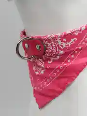 Фуксия ошейник бандана для собак и кошек