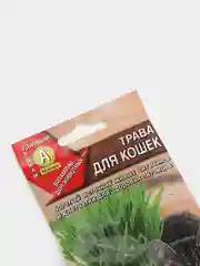 Семена "Трава для Кошек"