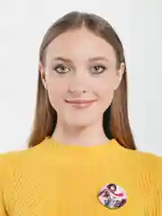 Розовый значок аниме "Атака Титанов", 11 видов