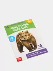 Развивающие карточки по методике Г. Домана