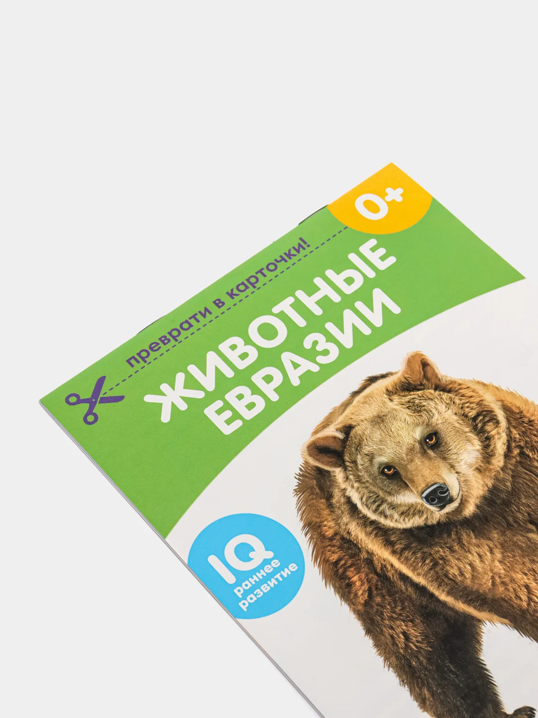 Развивающие карточки по методике Г. Домана