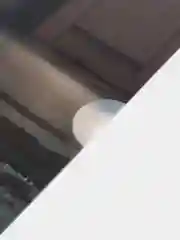 Угольный папка - уголок для документов / бумаги А4, с цветным принтом