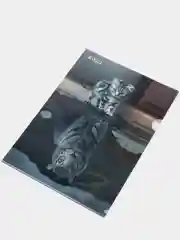 Угольный папка - уголок для документов / бумаги А4, с цветным принтом