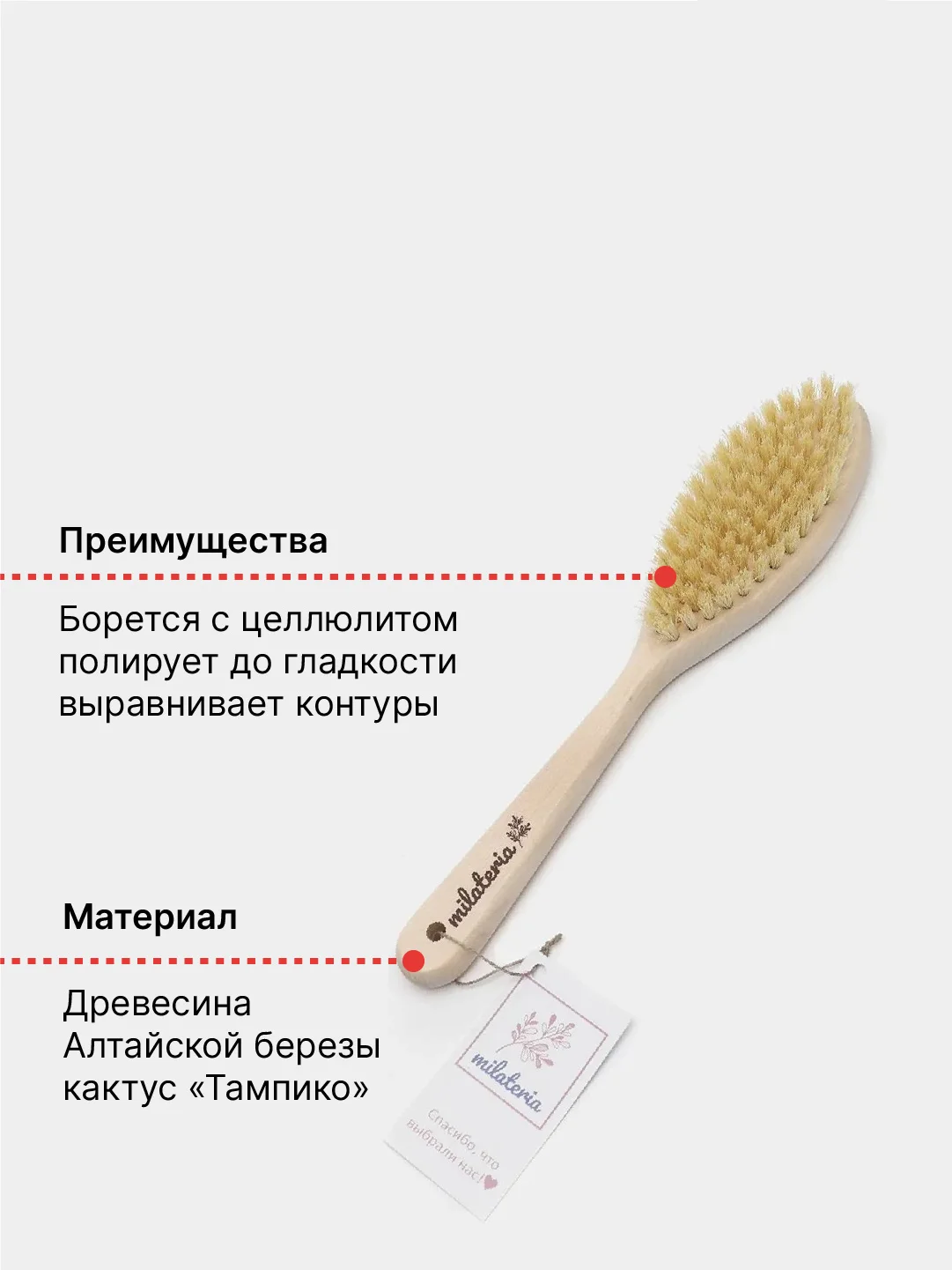 Эко-щетка для сухого массажа и пилинга тела с щетиной кактуса Тампико, высокая жесткость