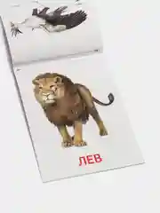 Развивающие карточки по методике Г. Домана